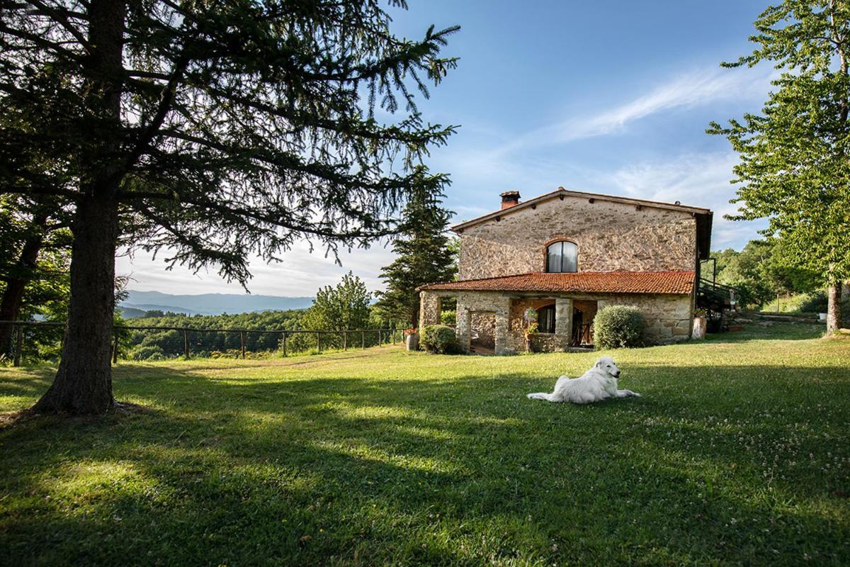 Piancasalemia Apartment Londa Exterior foto